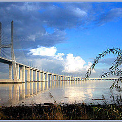 photo "The crossing"