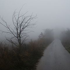 photo "Road To Nowhere"