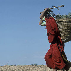 photo "tunisian woman"