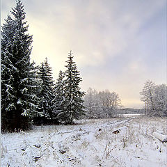 photo "Winter tale"