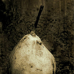 photo "Pear."