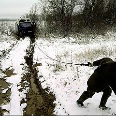 фото "Ох не легкая эта работа, из болота тащить…"