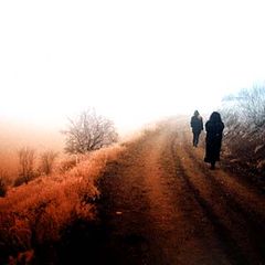 photo "Dream world"