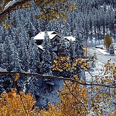 фото "First Snow"