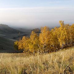 фото "Ушедшая осень"