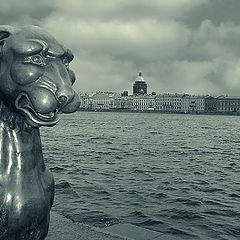 фото "СПБ"
