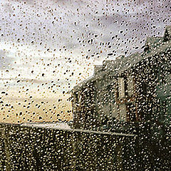 photo "Rainy window 2"