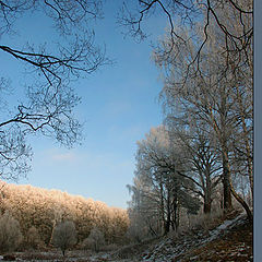 photo "Winter"