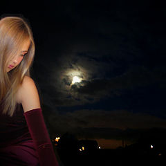 photo "Moonlight night"