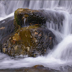 photo "About Running Water."