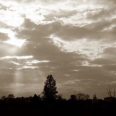 photo "Evening near to L`vov, Ukraine"