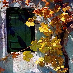 photo "Vineyard window"