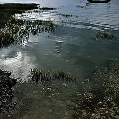 photo "Bay of the Oysters"