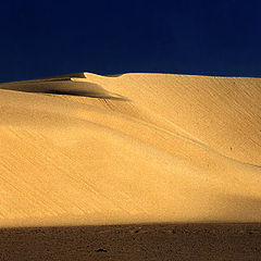 photo "Dunes"