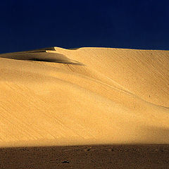 фото "Dunes"