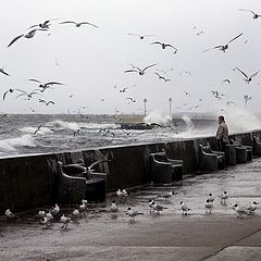 photo "Against storm"