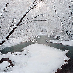 photo "The winter river"