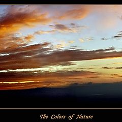 фото "The Colors of Nature"