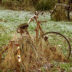 photo "patriarchy`s autumn."