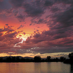 photo "Sunlight For Lovers"