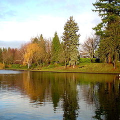 photo "Reflection."