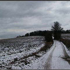 photo "Bisamberg, Vienna"