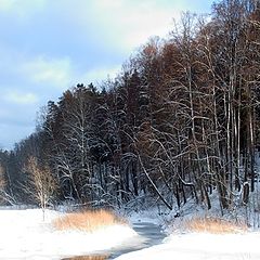 photo "The beginning of winter"