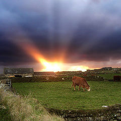 photo "Glow of sunset"