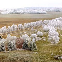 фото "Панорама"