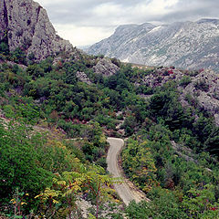 photo "Mountain road"