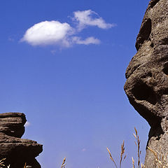 фото "Двое"