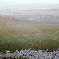 photo "Field arisen from a fog"