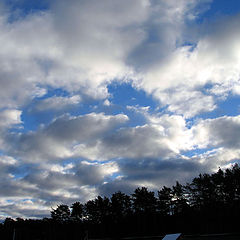 photo "Clouds"