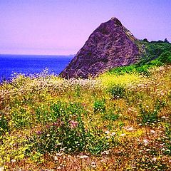 photo "Beacon Rock"