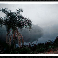 фото "Rio Neblina (Fog River)"