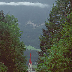 photo "red roof"