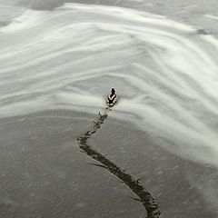 photo "The ice breaker."