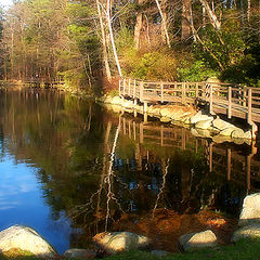 photo "Autumn in New England 2"