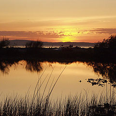 фото "Ocean Slough"