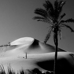 фото "Sand Dunes #9"