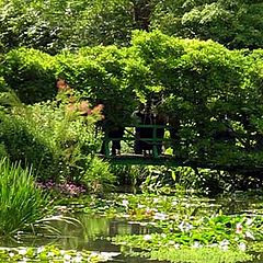 photo "monet`s garden"