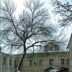 photo "Ordinary Moscow court yard"