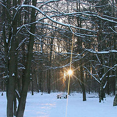 фото "Зимний парк"