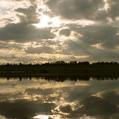 photo "Underwater sun"