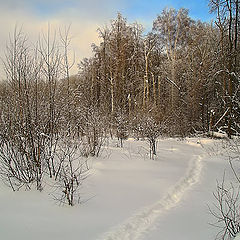 photo "Winter."