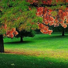 photo "Autumn memories"