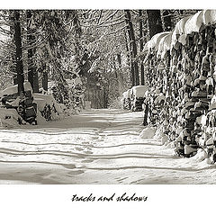 photo "tracks and shadows"