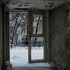 photo "The window"