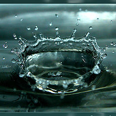 photo "... Storm in a glass ..."