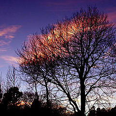 photo "Cloud Catchers"